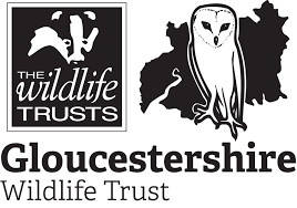Logo: THE WILDLIFE TRUSTS GLOUCESTERSHIRE